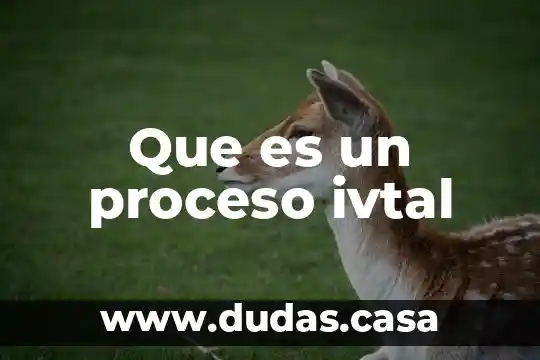 Que es un proceso ivtal