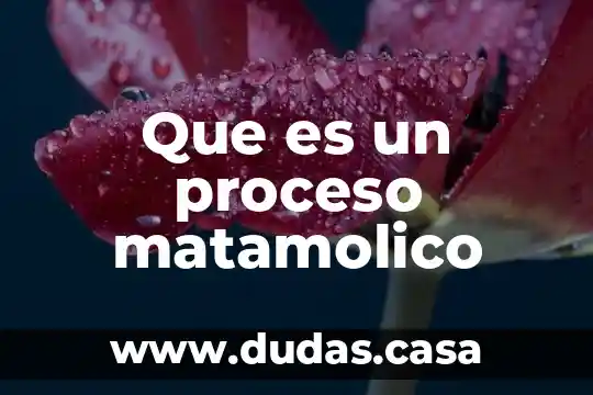 Que es un proceso matamolico