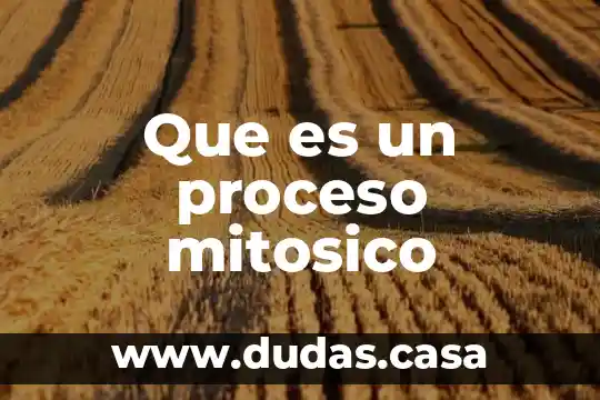 Que es un proceso mitosico