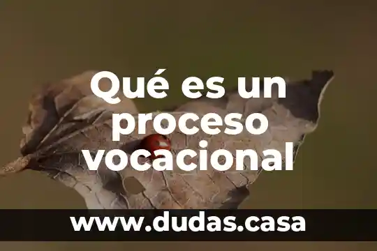 Qué es un proceso vocacional