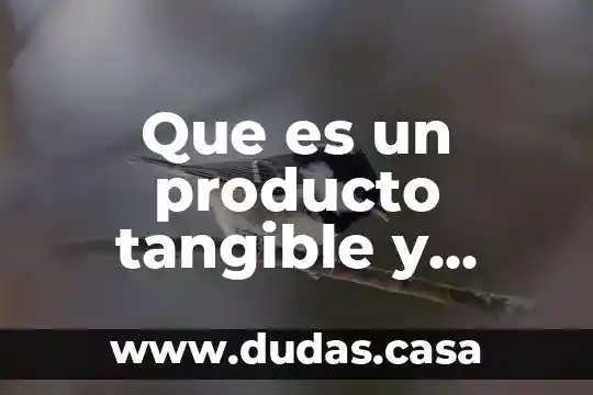 Que es un producto tangible y concreto
