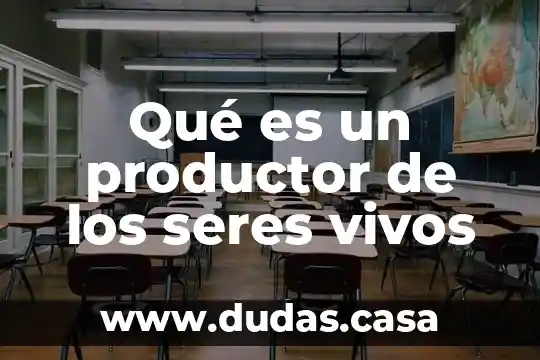 Qué es un productor de los seres vivos