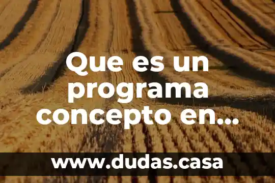 Que es un programa concepto en administracion