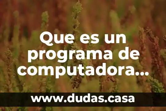 Que es un programa de computadora en informatica