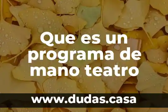 Que es un programa de mano teatro