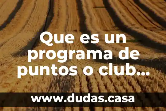 Que es un programa de puntos o club vacacional