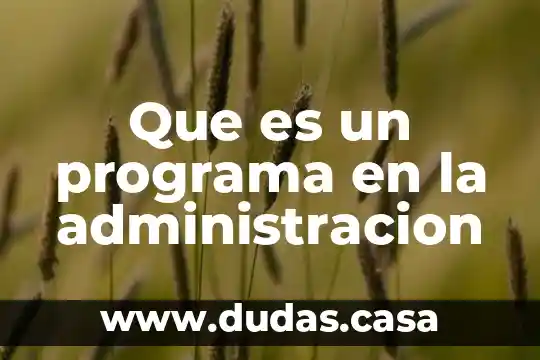 Que es un programa en la administracion