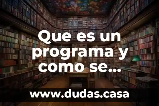 Que es un programa y como se integra