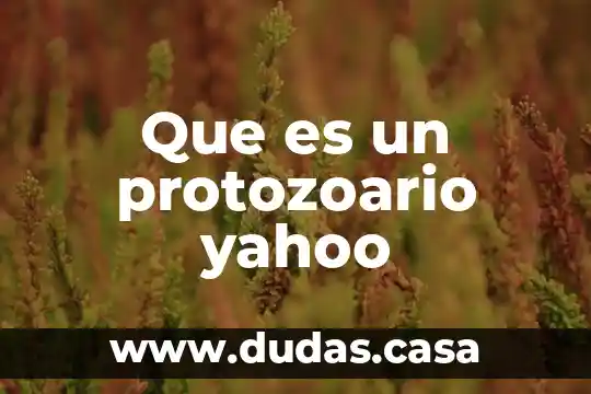 Que es un protozoario yahoo