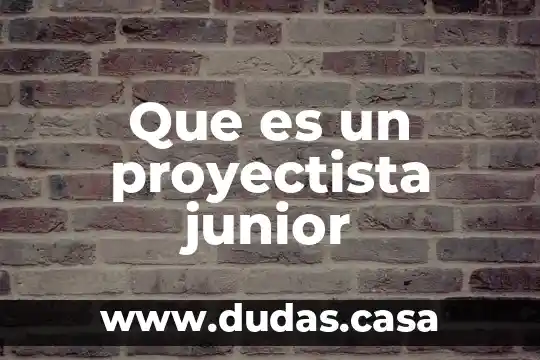 Que es un proyectista junior