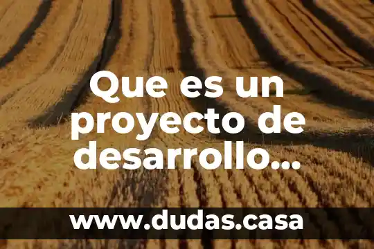 Que es un proyecto de desarrollo institucional en salud