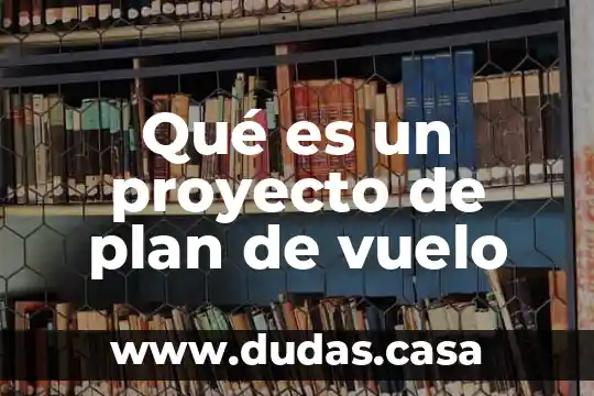 Qué es un proyecto de plan de vuelo