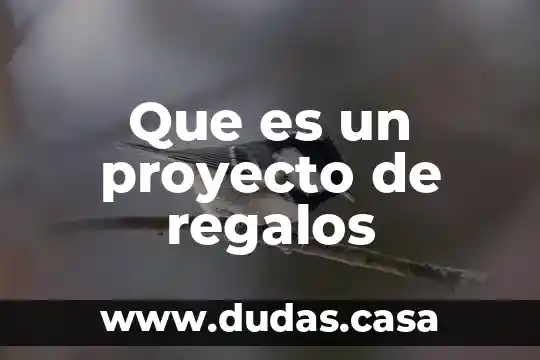 Que es un proyecto de regalos