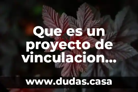 Que es un proyecto de vinculacion uabc