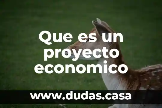 Que es un proyecto economico