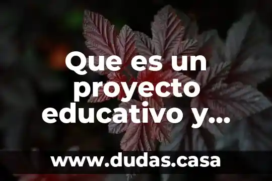 Que es un proyecto educativo y cuales son sus tipos