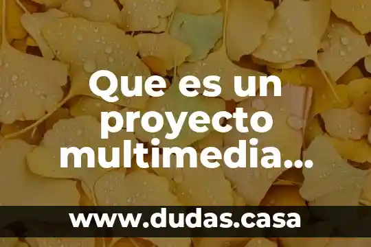 Que es un proyecto multimedia yahoo