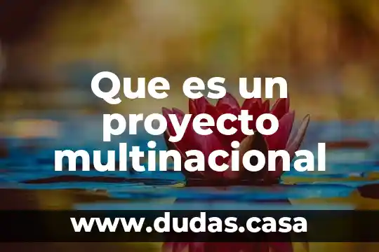 Que es un proyecto multinacional