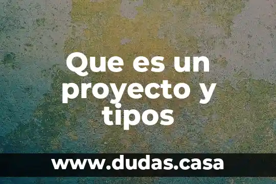 Que es un proyecto y tipos