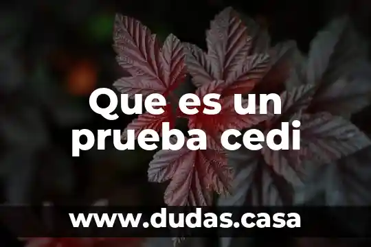 Que es un prueba cedi