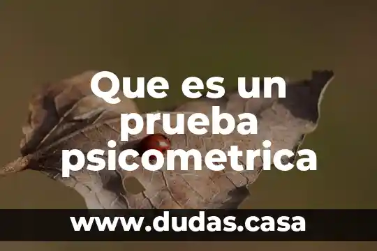 Que es un prueba psicometrica