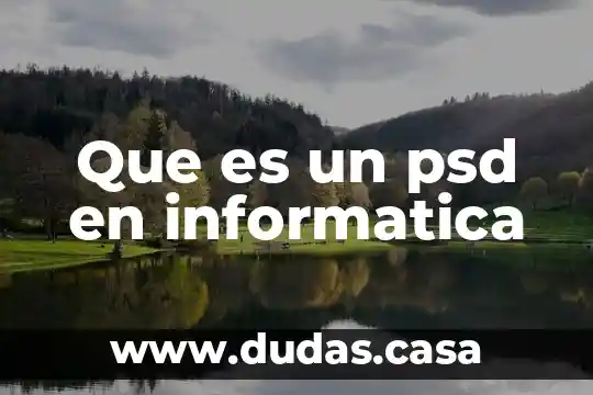 Que es un psd en informatica