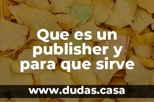 Que es un publisher y para que sirve
