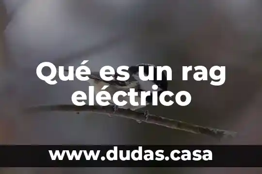 Qué es un rag eléctrico