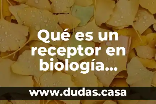 Qué es un receptor en biología molecular