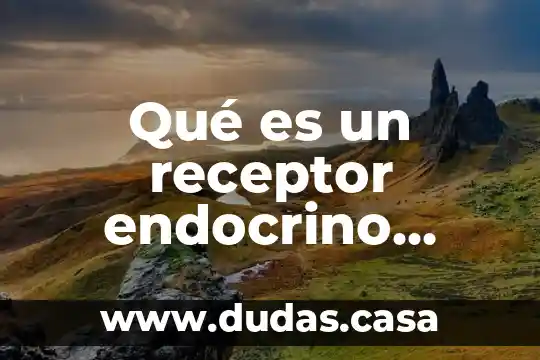 Qué es un receptor endocrino activo e inactivo