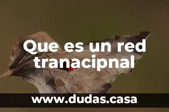 Que es un red tranacipnal
