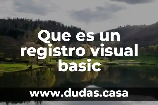 Que es un registro visual basic