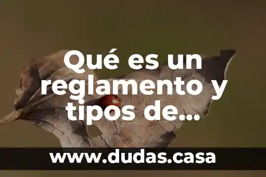 Qué es un reglamento y tipos de reglamentos