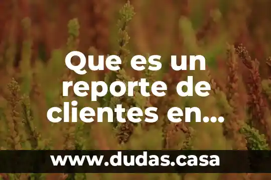 Que es un reporte de clientes en contabilidad