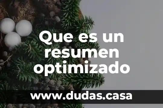 Que es un resumen optimizado