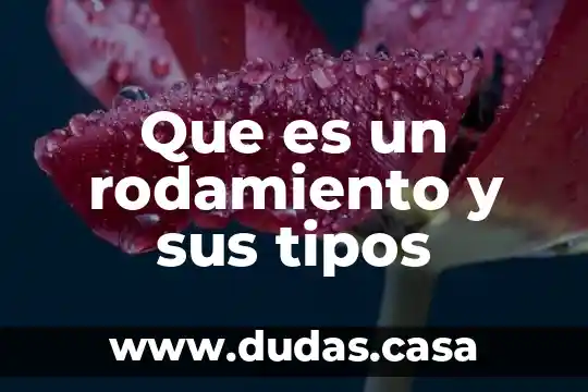 Que es un rodamiento y sus tipos