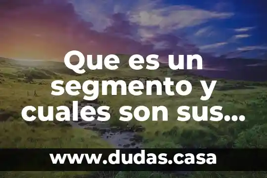Que es un segmento y cuales son sus caracteristicas