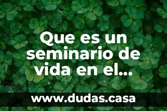 Que es un seminario de vida en el espiritu
