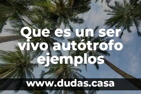 Que es un ser vivo autótrofo ejemplos