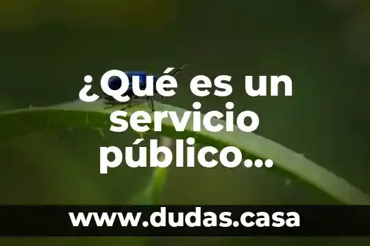 ¿Qué es un servicio público descentralizado?