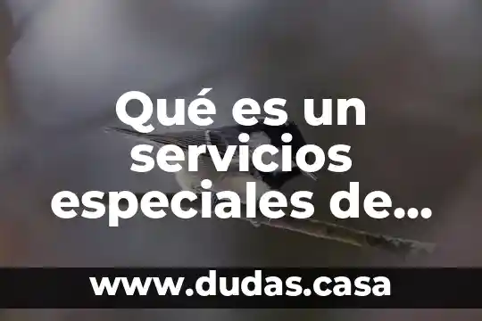 Qué es un servicios especiales de autos