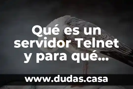 Qué es un servidor Telnet y para qué sirve