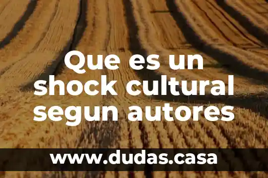 Que es un shock cultural segun autores