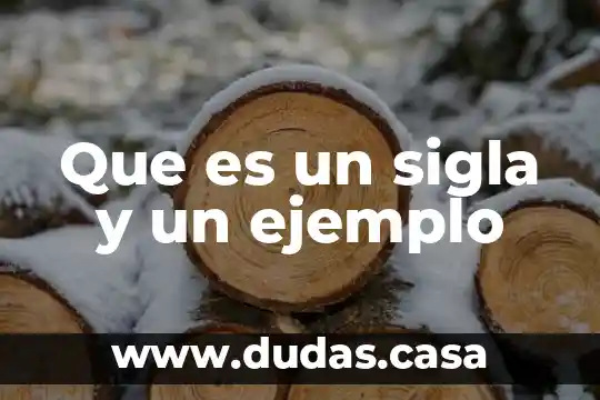 Que es un sigla y un ejemplo