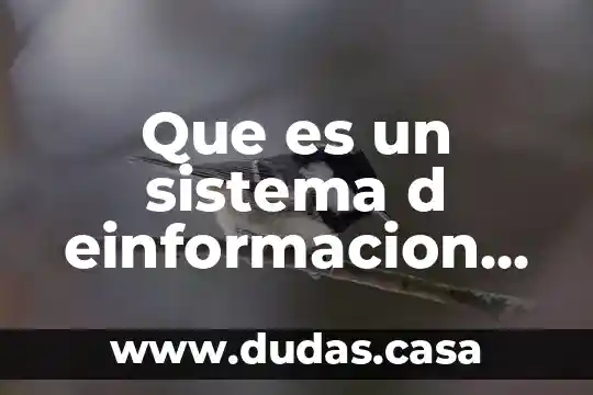 Que es un sistema d einformacion geografica
