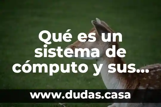 Qué es un sistema de cómputo y sus partes