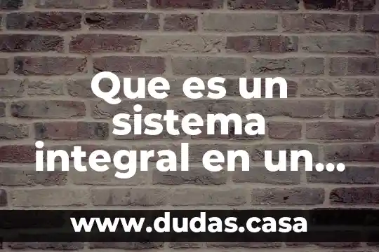 Que es un sistema integral en un ser humano