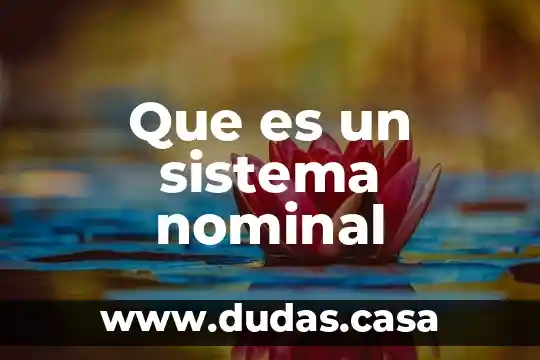 Que es un sistema nominal