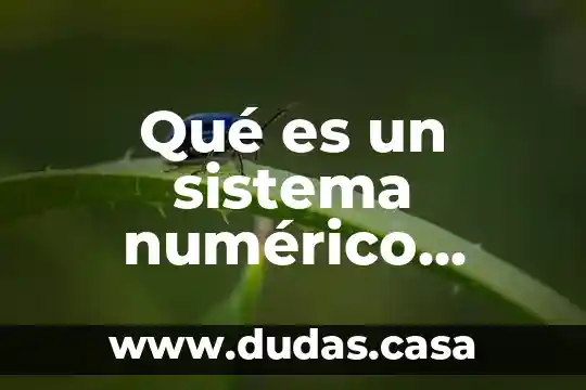 Qué es un sistema numérico binario y aplicaciones