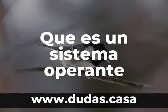 Que es un sistema operante